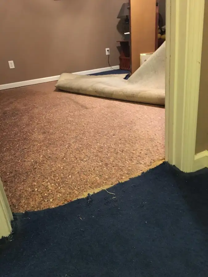 Carpet pad removal revealing water damage during Drying & Dehumidification in Spanaway