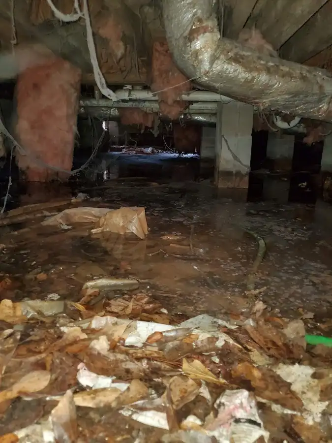 Crawl space flood assessment for Leak Detection & Repair in Spanaway